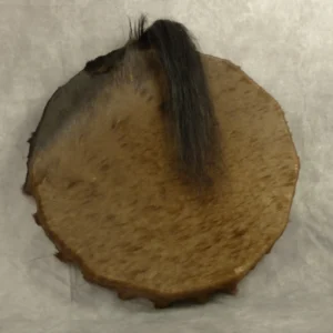 Tambour chamanique en peau de cheval avec crinière 40 cm