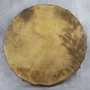 Tambour chamanique artisanal en peau de bison glabrée, vu de face, avec teinte brun doré et zones de poils ras épars, monté sur un cadre en bois de peuplier, diamètre 50 cm.